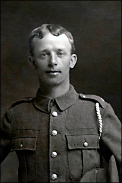 Stephen Mews